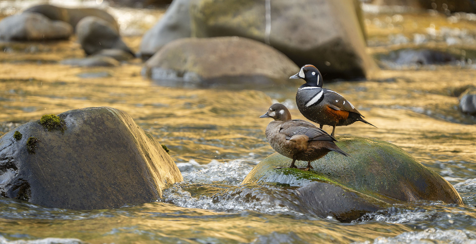 Doubleclick Productions — landscape photography
