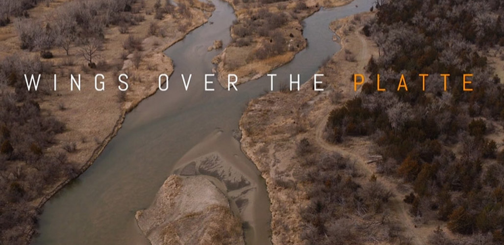 Wings over the Platte