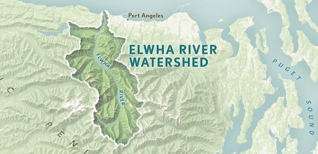Last Stand: Saving the Elwha Legacy Forest