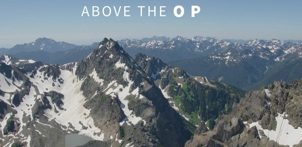 Above the OP