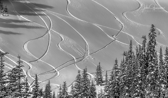 olympic peninsula landscape
