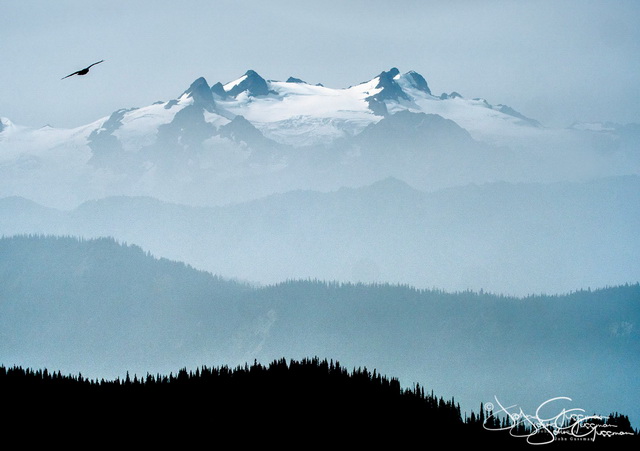 olympic peninsula landscape